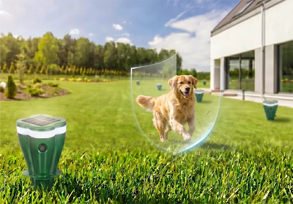 Cão a correr num relvado com a estaca TopoSol instalada